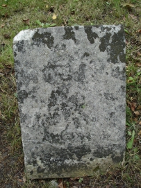 picture 00335-5-1-TB-sep2010.JPG