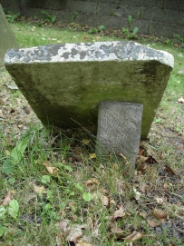 picture 00335-5-2-TB-sep2010.JPG