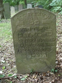 picture 00338-5-1-TB-sep2010.JPG