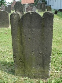 picture 00353-8-2-TB-jul2010.JPG