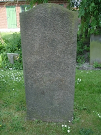 picture 00393-8-2-TB-jul2010.JPG