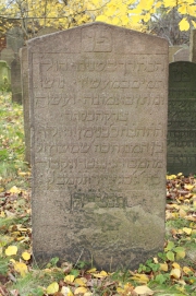 picture 00452-1-1-JP-nov2010.JPG