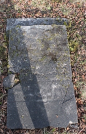 picture 00482-1-1-AF-apr2011.JPG