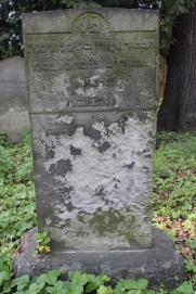 picture 00493-1-1-AF-apr2011.JPG