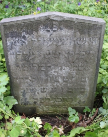 picture 00511-1-1-AF-jun2011.JPG