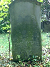 picture 00538-1-1-AF-sep2010.jpg