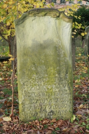 picture 00538-1-1-JP-nov2010.JPG