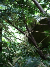 picture 00614-1-2-TB-jul2010.JPG