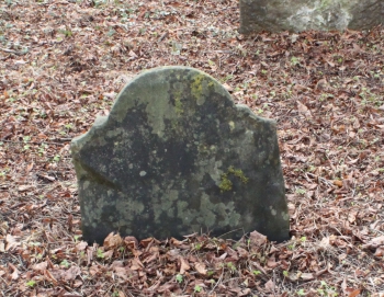 picture 00651-1-2-AF-apr2011.JPG