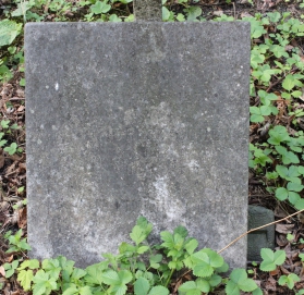 picture 00697-1-1-AF-apr2011.JPG