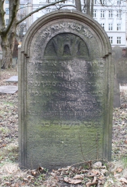 picture 00716-1-1-AF-apr2011.JPG