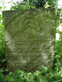 picture 00750-1-1-TB-jul2010.JPG