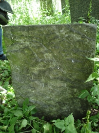 picture 00750-1-2-TB-jul2010.JPG