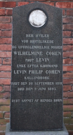 picture 00755-1-1-AF-dec2011.JPG