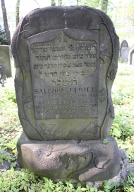 picture 00780-1-1-AF-apr2011.JPG