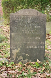 picture 00861-1-1-JP-nov2010.JPG