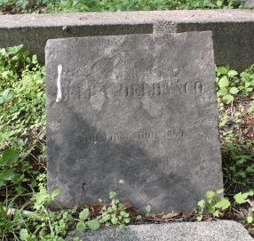 picture 00883-1-1-AF-apr2011.JPG