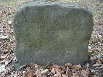 picture 00890-1-2-TB-apr2011.JPG