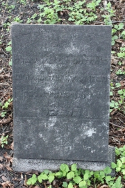 picture 00911-1-1-AF-apr2011.JPG