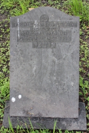 picture 00920-1-1-AF-apr2011.JPG