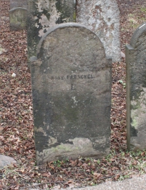 picture 01102-1-2-AF-apr2011.JPG