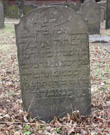 picture 01125-1-1-AF-apr2011.JPG