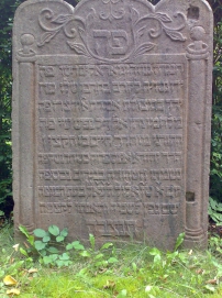 picture 01205-1-1-AF-sep2010.jpg