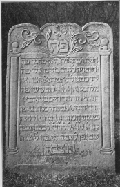 picture 01205-1-5-gravminder-xxx1912.jpg