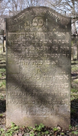 picture 01237-1-1-AF-apr2011.JPG