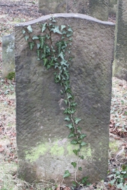 picture 01251-1-2-AF-apr2011.JPG