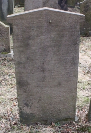 picture 01253-1-2-AF-apr2011.JPG