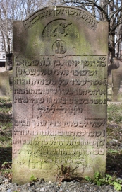 picture 01261-1-1-AF-apr2011.JPG