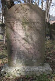 picture 01274-1-1-AF-apr2011.JPG