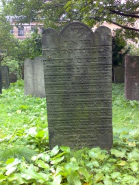 picture 01286-1-1-AF-sep2010.jpg