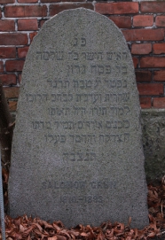 picture 01336-1-1-AF-dec2011.JPG