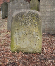 picture 01389-1-1-AF-apr2011.JPG