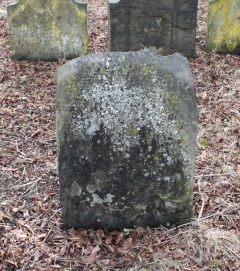 picture 01389-1-2-AF-apr2011.JPG