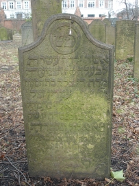 picture 01392-1-1-TB-apr2011.JPG