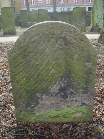 picture 01397-1-2-TB-apr2011.JPG