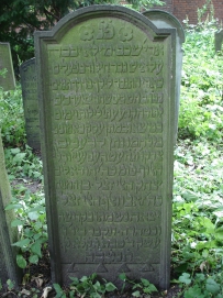 picture 01401-1-1-TB-jul2010.JPG