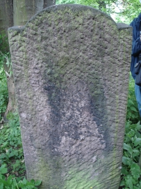 picture 01401-1-2-TB-jul2010.JPG