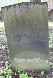 picture 01444-1-1-AF-apr2011.JPG