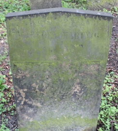 picture 01444-1-2-AF-apr2011.JPG