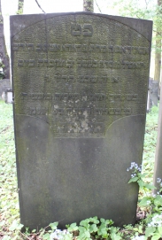 picture 01449-1-1-AF-apr2011.JPG