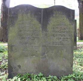 picture 01459-1-1-AF-apr2011.JPG