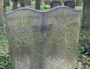 picture 01459-1-2-AF-apr2011.JPG