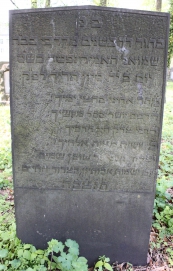 picture 01475-1-1-AF-apr2011.JPG