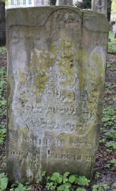 picture 01488-1-1-AF-apr2011.JPG