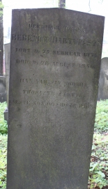 picture 01491-1-1-AF-apr2011.JPG