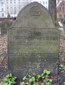 picture 01524-1-1-AF-apr2011.JPG